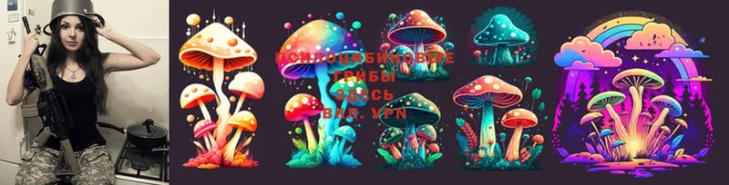 как найти закладки  Велиж  Галлюциногенные грибы Cubensis 